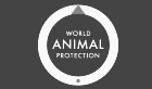 10 World Animal Protection