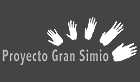 38 Proyecto Gran Simio